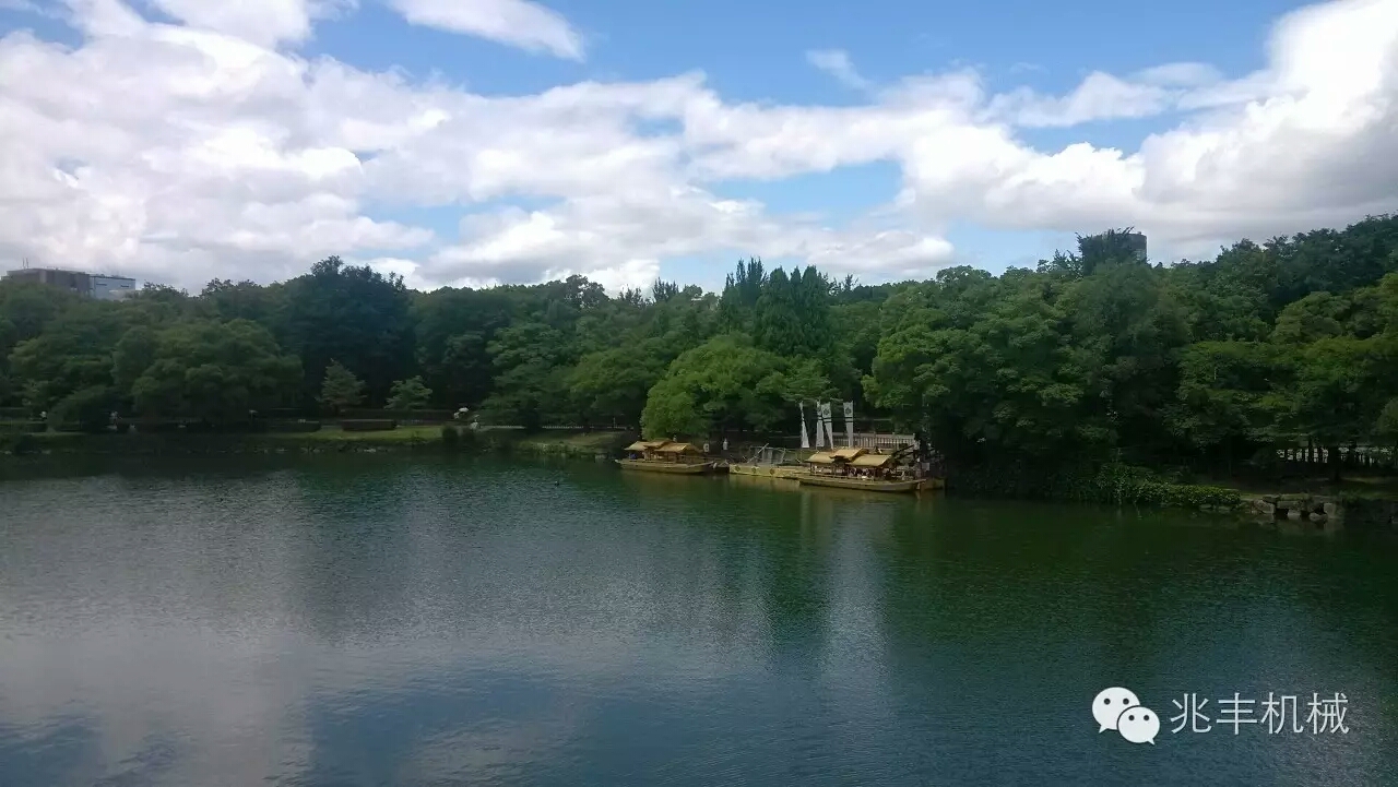 公園1.jpg